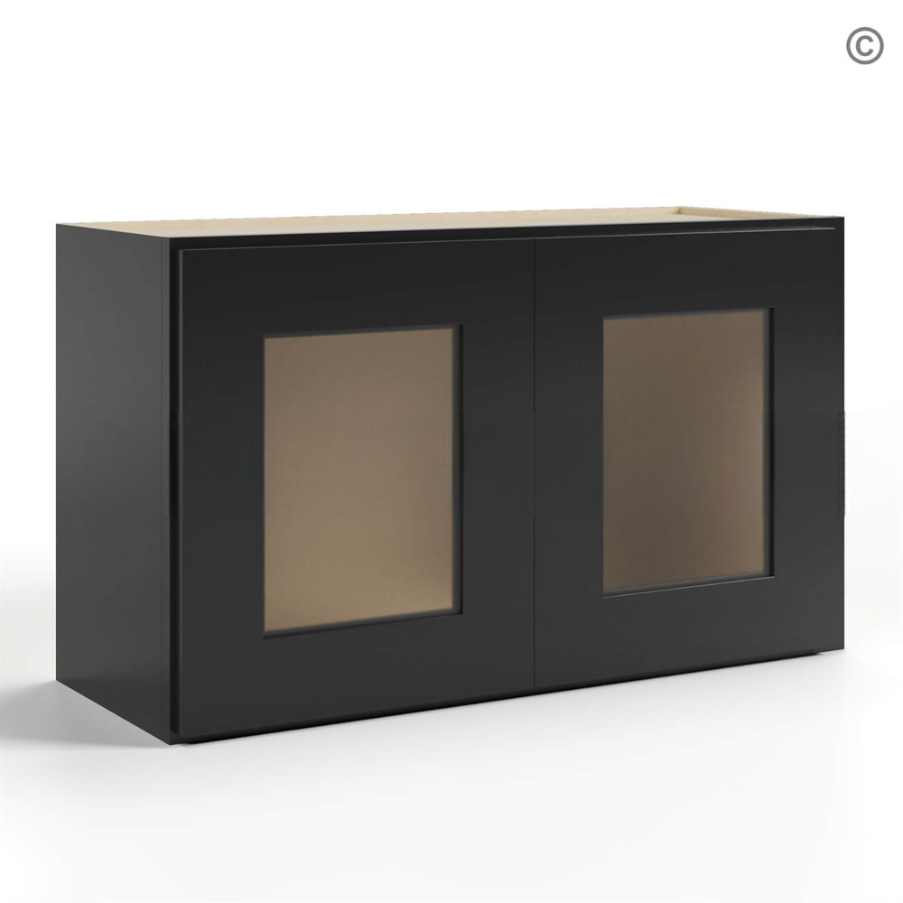 Black Shaker 18″ H Double Door Wall Cabinet With Glass Doors