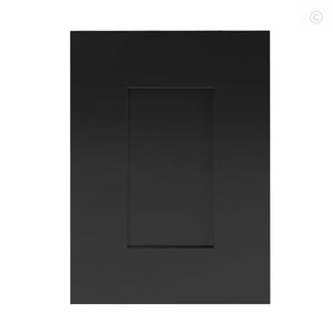 Black Shaker Sample Door